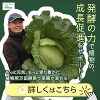 万田酵素,家庭菜園の画像
