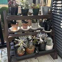 多肉植物,植物棚,植物棚DIYの画像