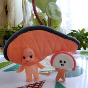 ウチワサボテン,チョコチップ,ペペロミア・アルギレイア（スイカペペ）,ぼん・スイカペペ,ぼん・チョコチップの画像