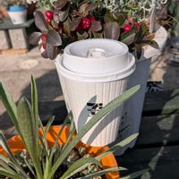 小さな庭,玄関,家庭菜園,玄関アプローチ,庭の画像