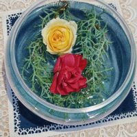 スイセン,赤い薔薇,バラ(黄)の画像