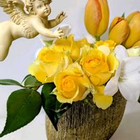 ノイバラ,バラ,いつもありがとう♡,バレンタインデー,今日のお花の画像