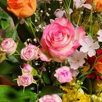 オンシジウム,カーネーション,ガーベラ,カスミソウ,トルコキキョウの画像