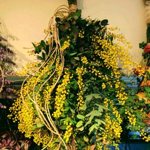 ユーカリ,ミモザ,花束の画像