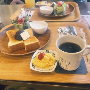 カフェ, ビカクシダ,植物大好きの画像