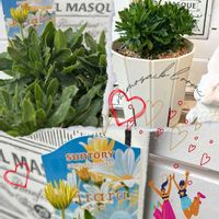 キララ,キララ,サントリーキララ,コンテナガーデン,花が好きの画像