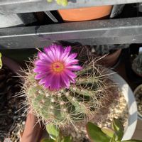 部屋,窓辺の画像