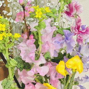 スイートピー,菜の花,かすみ草,桃の花,ゼンマイの画像