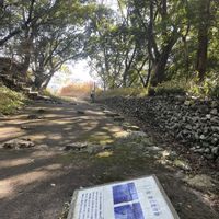 クスノキ,季節を楽しむ,胸キュン,石同好会,石の日の画像