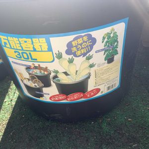 植え替え,毎年恒例,花のある暮らし,新規購入,ネット購入の画像