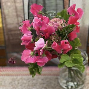 スイートピー,フラワーアレンジメント,赤いスイートピー,フラワーギフト,バレンタインデーの画像