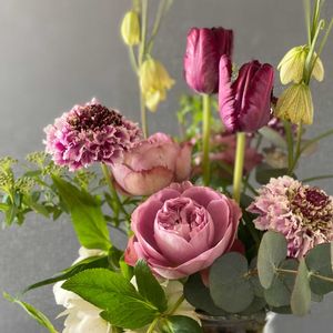 バラ,薔薇,ミニバラ　テディベア,リトルウッズ,ピエールドゥロンサールの画像