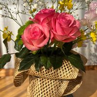 バラ,かすみ草,スイトピー,オンシジューム,スプレー菊の画像