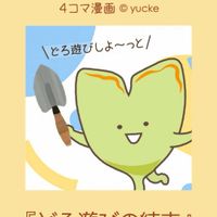 コノフィツム,熊童子,聖園,多肉植物,コチレドン属の画像