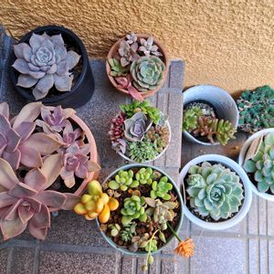 階段/廊下の画像