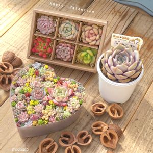 アリエル,ペリドット,バニラビズ,ピンクローサ,ルビーティントの画像