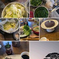 ローズマリー,黒松,黒松,ハーブ,思い出の画像