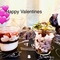 ベコニア,ベゴニア・ダークマンボ,テラリウム,可愛い,葉っぱの画像