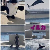 ソテツ,モンステラ,楽しかった♪,貴重,お出かけの画像