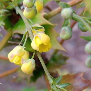 途標　(ミチシルベ）