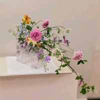 オルラヤ,サイネリア,スイートピー,ストロベリーキャンドル,ナズナの画像