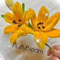 手作り,観葉植物を楽しむ,植物大好き,植物からパワー❣️,見てくれてありがとう♡の画像