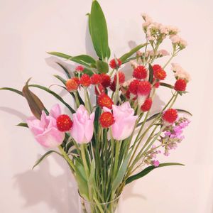 センニチコウ ストロベリーフィールド,切り花,花瓶,北海道,バレンタインの画像