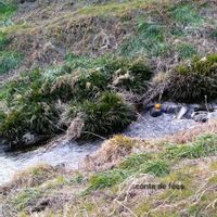 ミカン,昔ばなし,土手フェチ,あとは知らないの画像