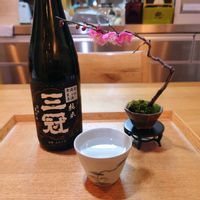 ウメ,盆栽,小品盆栽,ミニ盆栽,豆盆栽の画像