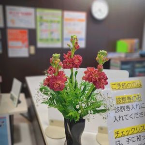 山野草,生け花,季節の花の画像