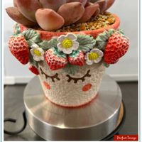 可愛らしい,花のある暮らしの画像