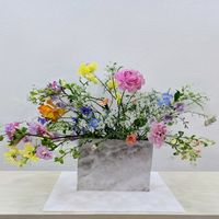 オルラヤ,サイネリア,スイートピー,ストロベリーキャンドル,ナズナの画像