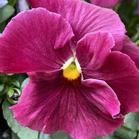 玄関アプローチの画像