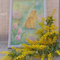 チューリップ,ミモザ,ハーブのある暮らし,黄色の花,ネコと植物の画像