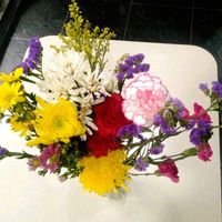 カーネーション,キク,スターチス,菊,仏壇の供花の画像