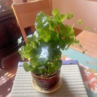 癒し,感謝,楽しみ〜,嬉しい,ありがとう♪の画像