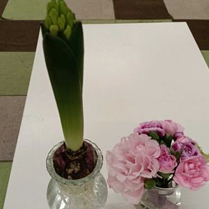 カーネーション,カーネーション,ヒヤシンス,ヒヤシンス,ウェディングブーケの画像