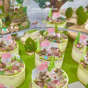 多肉,多肉,多肉植物 寄せ植え,多肉植物 寄せ植え,箱庭の画像