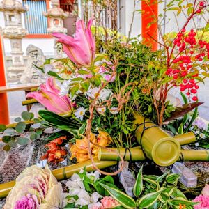 no green no life,こどもと暮らす,進路,高校生の画像