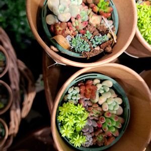 階段/廊下の画像