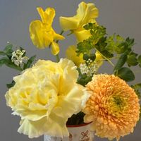 カーネーション,ガーベラ,ガーベラ,コデマリ,スイートピーの画像