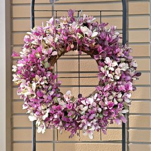 ハボタン,葉牡丹,種まきっ子,種から,種まきの画像