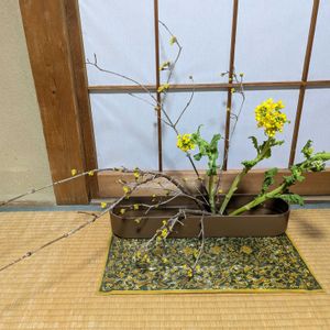 サンシュユ,なのはな,いけばな,和室の画像