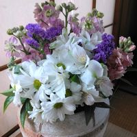 アルストロメリア,スターチス,ストック,スプレー菊,切り花を楽しむの画像