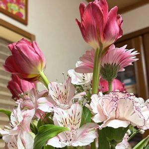 アルストロメリア,チューリップ,ユーカリ,花束の画像