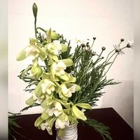 オンシジウム,コチョウラン,シンビジウム,シンビジウム,デンドロビウムの画像