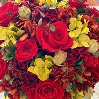 ニゲラ,バラ,バラ,お花いろいろ,稲佐山の画像