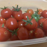 ミニトマト,家庭菜園,リビング・ダイニングの画像