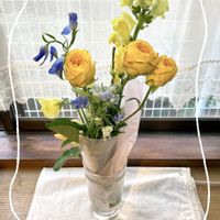 スイートピー,ブルースター,ブルースター,黄色いバラ♫,黄色いバラの画像