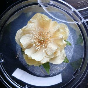 クリスマスローズ,クリスマスローズ　イエローゴールドフラッシュ,ドライフラワーの画像